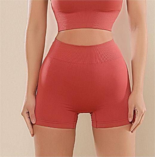 Sleek Seamless Knit Sporty Two-Piece Yoga Set with Shock-Absorbing Bra  S Brick Red Shorts 