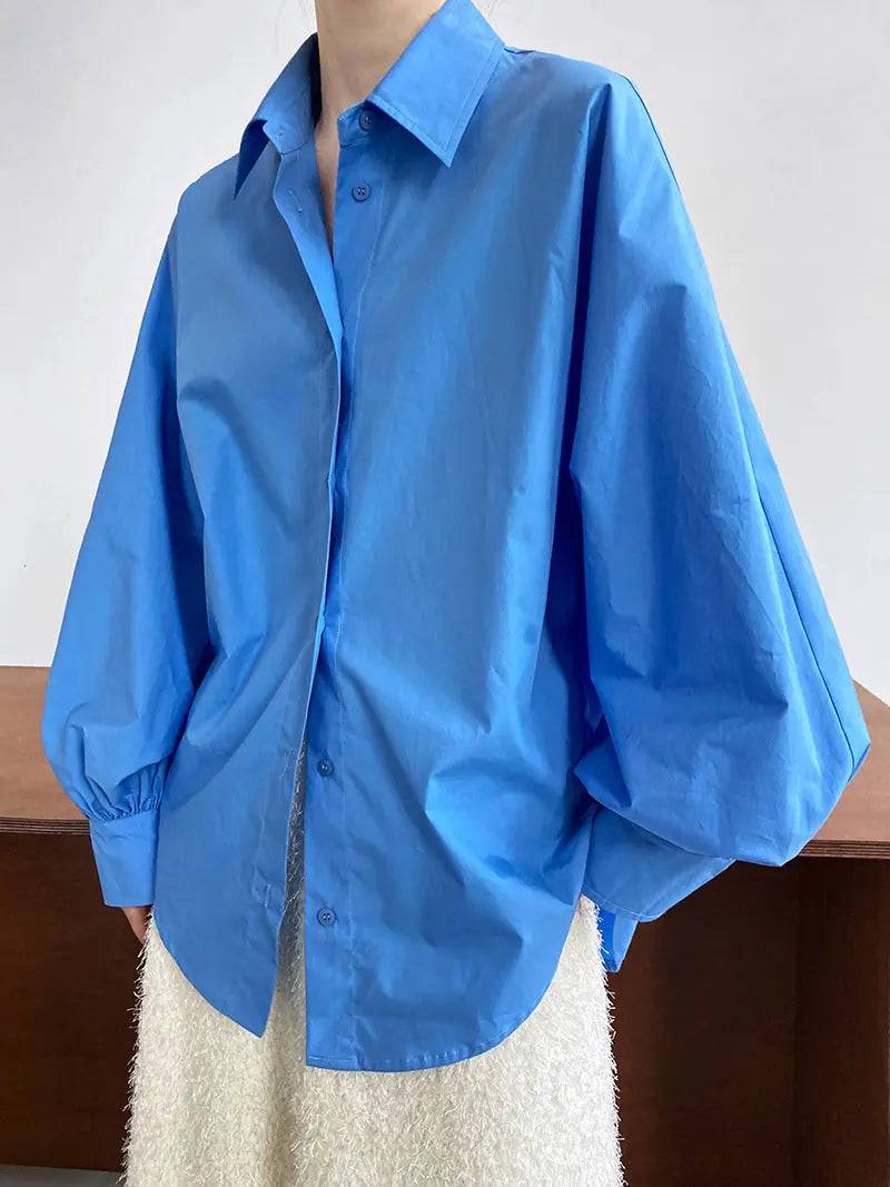 Spring Loose Fit Lantern Sleeve Shirt Top for Women  M Hyacinth blue 