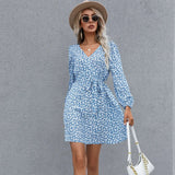 Floral A-Line Long Sleeve Dress with Lace-Up V-Neck    