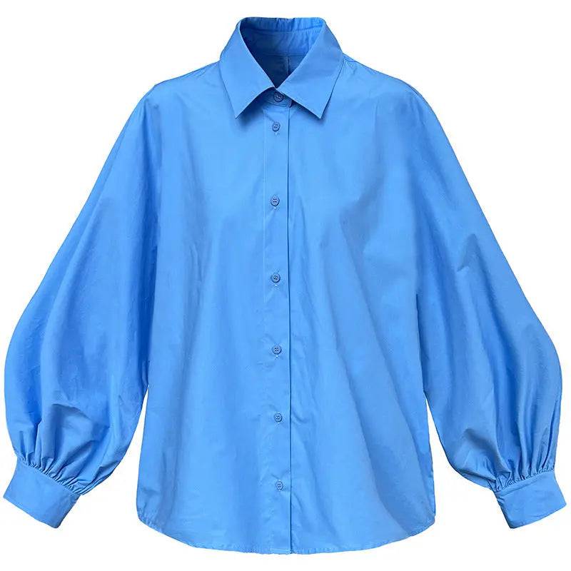 Spring Loose Fit Lantern Sleeve Shirt Top for Women    