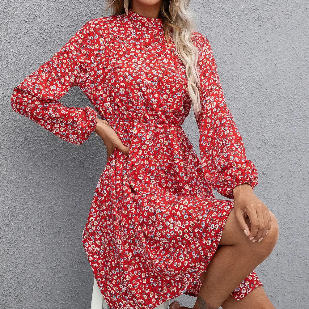 Elegant Floral A-Line Dress for Women with High Neck and Long Sleeves    