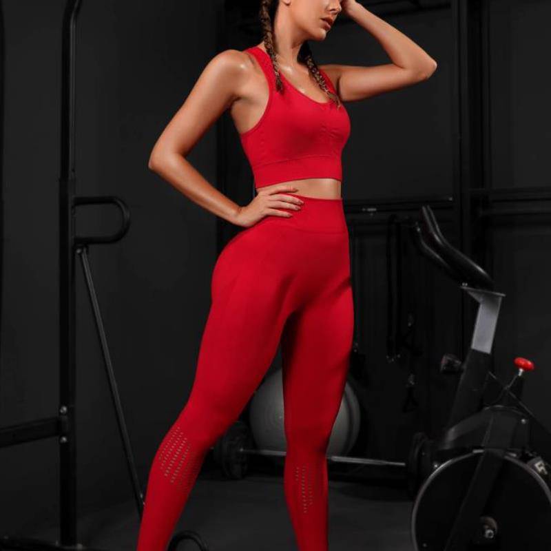 Elevate Seamless High Waist Sports Bra Yoga Suit    