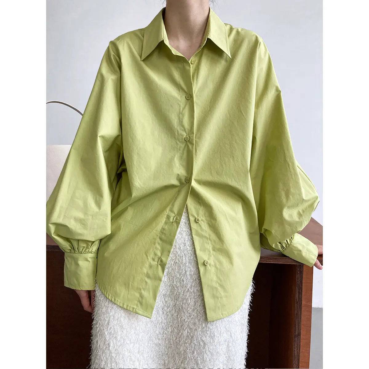 Spring Loose Fit Lantern Sleeve Shirt Top for Women    